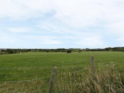 Ty Rhos, Farm Stay, Sleeps 4, Rhoshirwaun 2 Miles From Aberdaron Eksteriør bilde